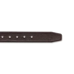 Cintura da Uomo Marrone con Fibbia Gunmetal Carrera