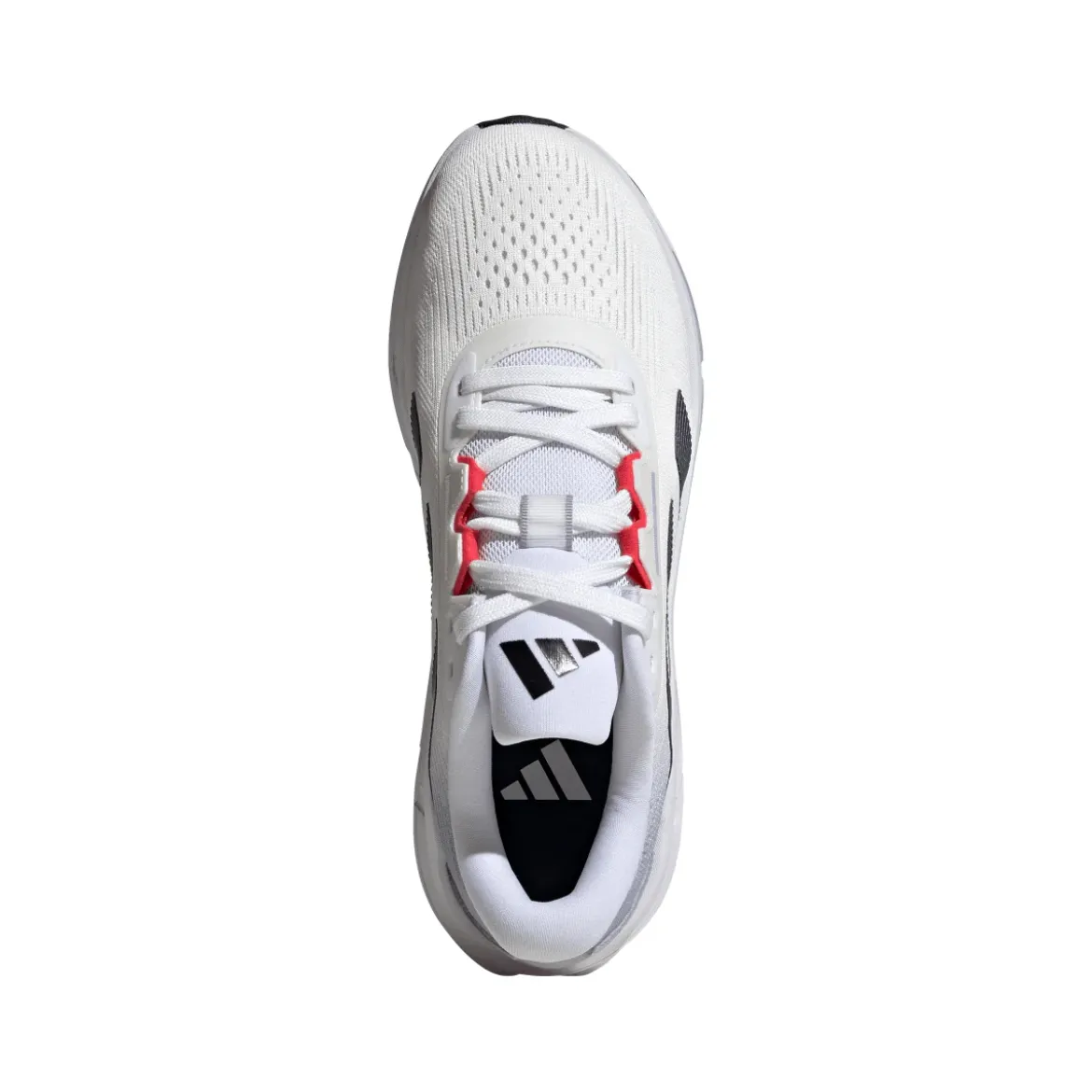 Scarpe da running bianche da uomo adidas Questar 3 Cloudfoam in mesh